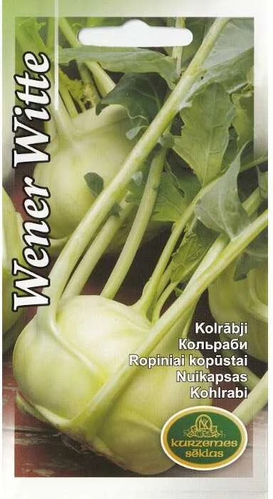 Kurzemes Seklas Kaliaropių sėklos 2g Wener Witte