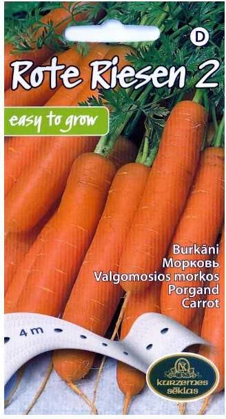 Kurzemes Seklas Morkų sėklos ant juostos 4m Rote Riesen 2