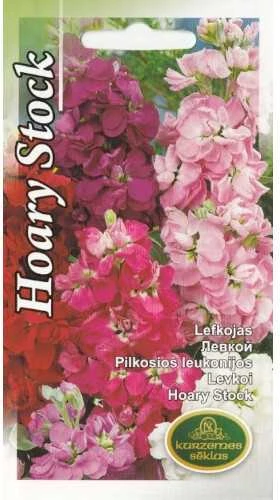 Kurzemes Seklas Pilkųjų leukonijų sėklos 0.7g įvair.