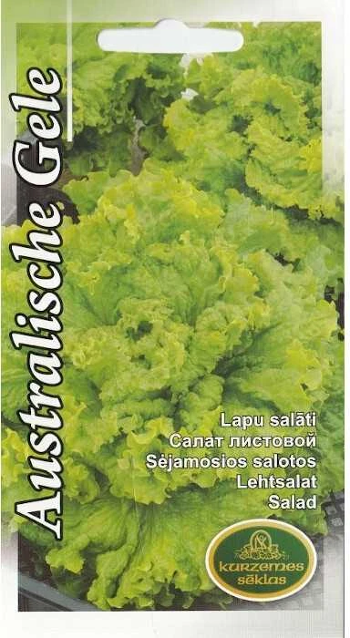 Kurzemes Seklas Salotų sėklos 2g Australische Gele