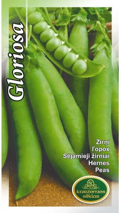 Kurzemes Seklas Žirnių sėklos 15g Gloriosa