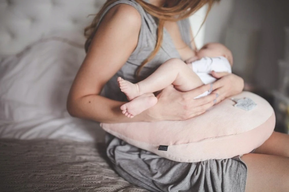 LA MILLOU močiutės DANA VIŠTŲ PAGALVĖ - ROŽINĖ VELVETA