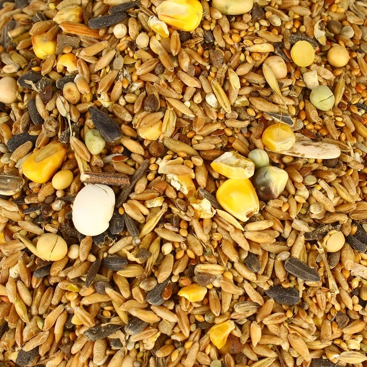 LAUKINIŲ PAUKŠČIŲ LESALAS 5kg TURDUS PL5000