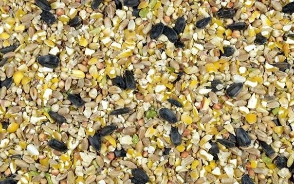 LAUKINIŲ PAUKŠČIŲ LESALAS Smulkūs grūdai 10 kg