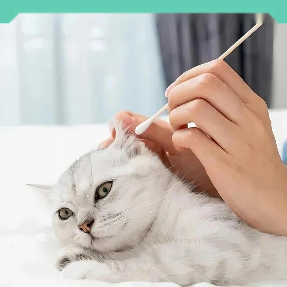 LAZDOS 100 Vnt. 20 cm ILGOS MEDVILNĖS HIGIENA DIDELI GALVOS STORIS