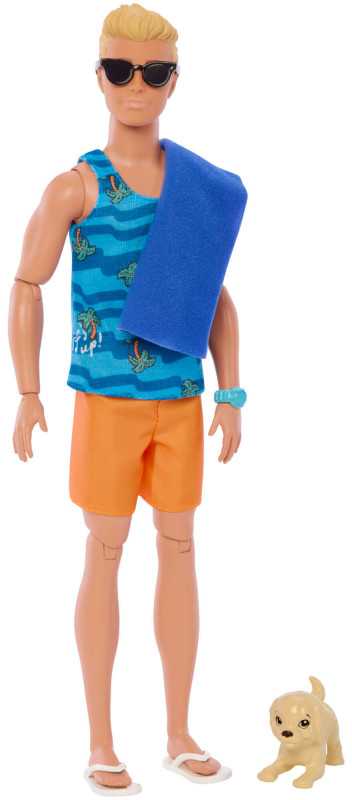 Mattel BARBIE KEN SURF DOLL lėlė (HPT50)