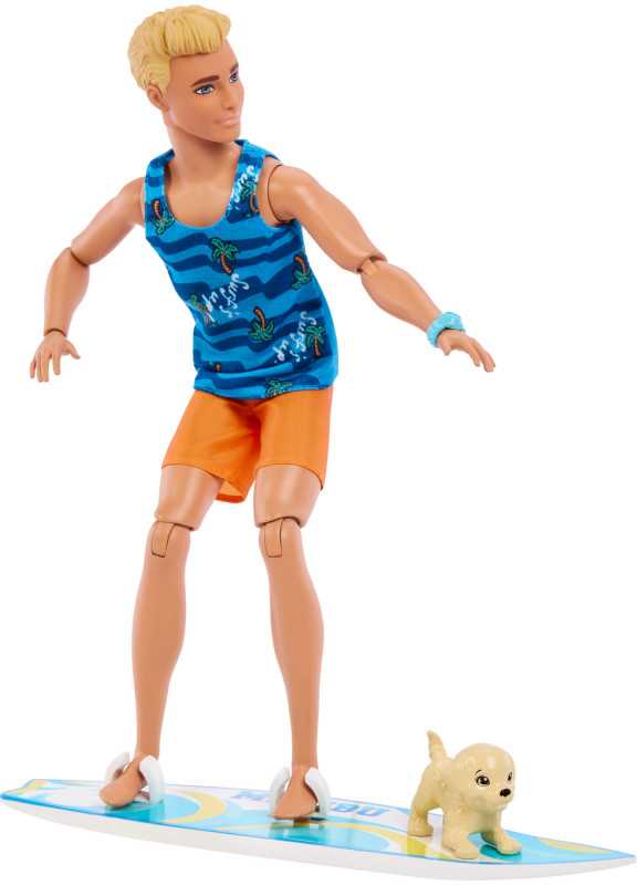 Mattel BARBIE KEN SURF DOLL lėlė (HPT50)