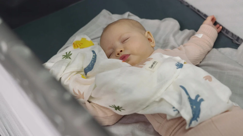 LIONELO Stefi Plus kelioninė lovelė Žalias