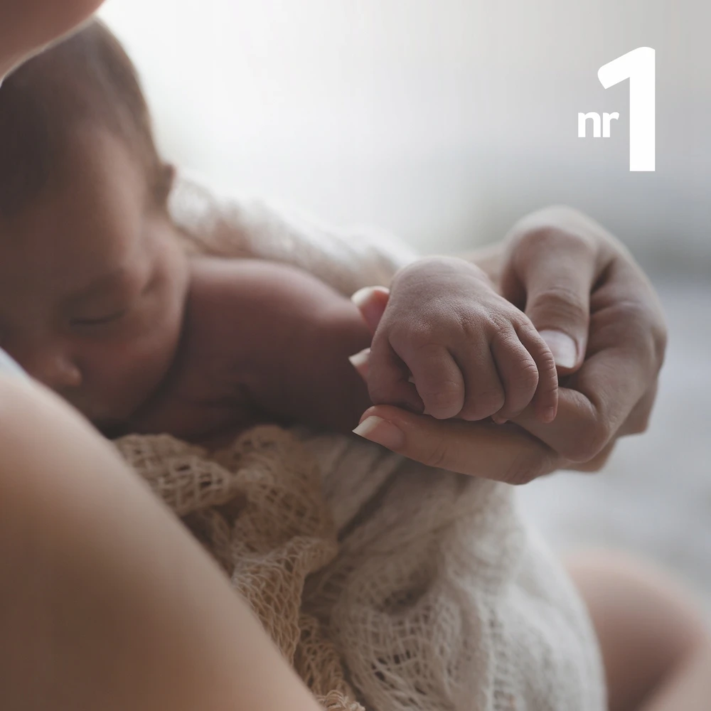 LOVI Dinaminis silikoninis čiulptukas Classy 0-2m 2 vnt. Petit Marin