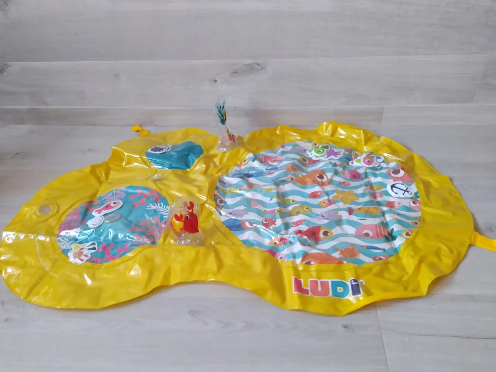 Ludi Prekė parduota❗Likutis 0 vnt.