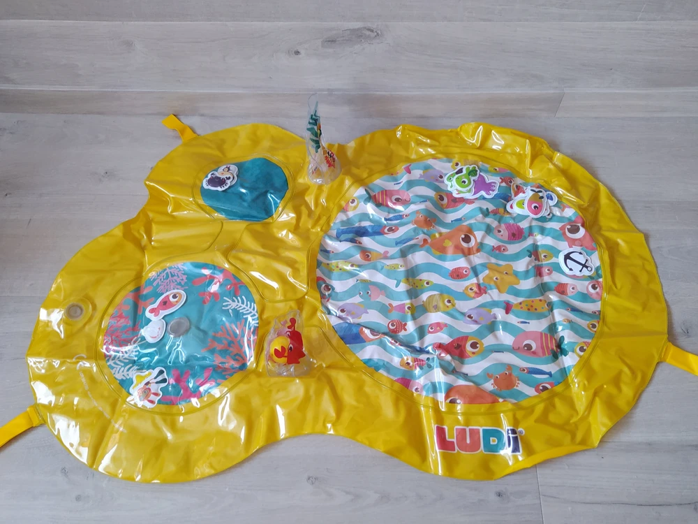 Ludi Prekė parduota❗Likutis 0 vnt.