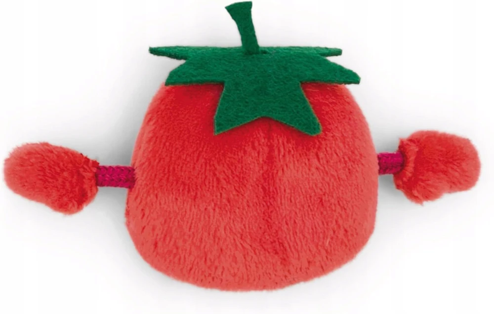 Dėlionė MAGNICI MINI POMIDOR MAGNES 7CM
