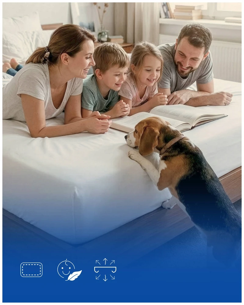 Manufaktura Materacy Patalynė 120x60 cm 100% medvilnė su elastine juostele Premium Harmony