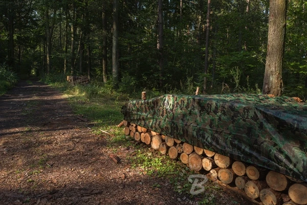 Bradas PLANDEKA KAMUFLAŻOWA 90g 6* 8m CAMOFOREST