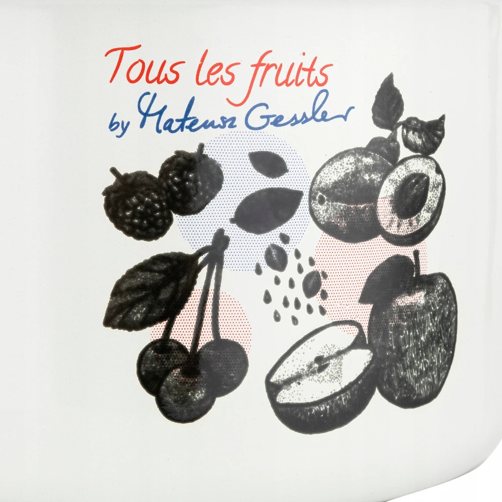 Mateuszo Gesslerio emaliuotas puodas Emalia Pleszew Fruits 20 cm 3,75L