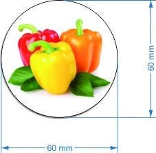Media Mag Magnesy na lodówkę na tekturze warzywa 16 vnt