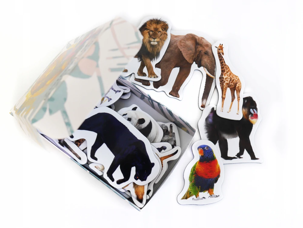 Media Mag Plokščios formos šaldytuvo magnetai I pažinti EXOTIC ANIMALS 28 vnt