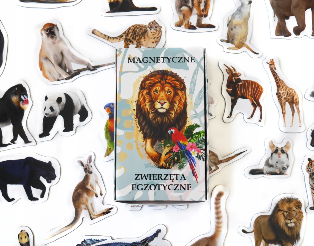Media Mag Plokščios formos šaldytuvo magnetai I pažinti EXOTIC ANIMALS 28 vnt