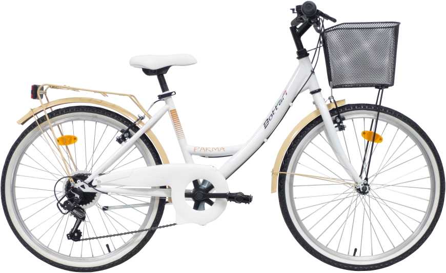Dviratis miesto Bottari Parma Parma 77040, 24 „