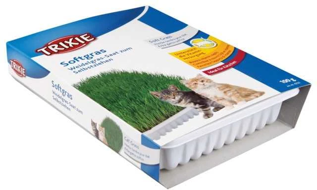 TRIXIE Žolė katėms, dubenėlyje apie 100 g (Miežiai)