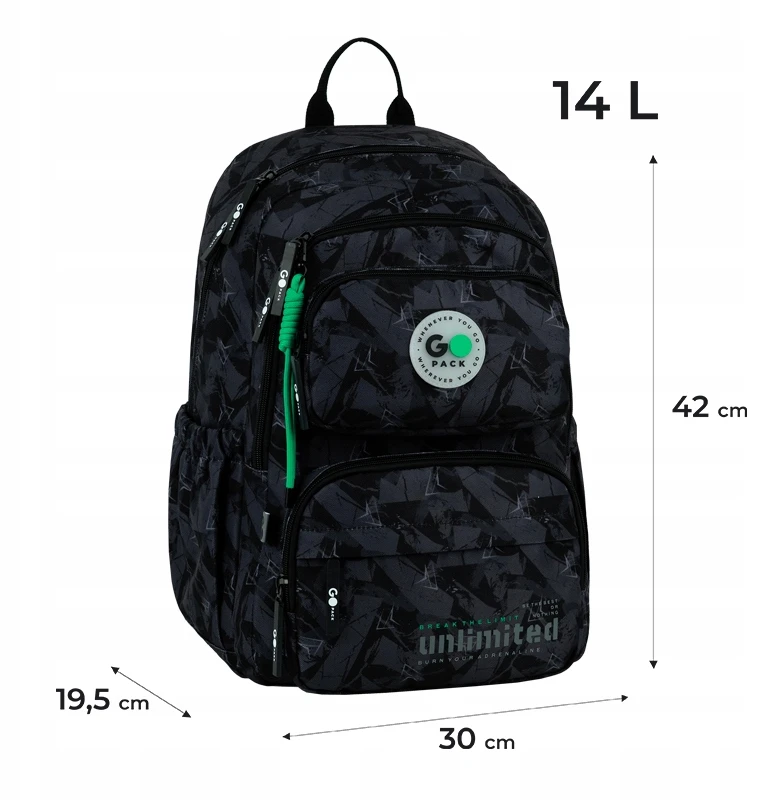 Mokyklinė kuprinė berniukams 9-12 metų, juoda, su GoPack pakabuku