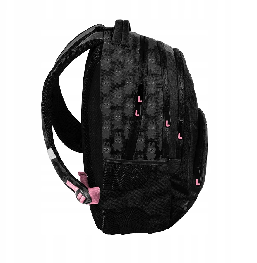 Mokyklinė kuprinė PASO BUBU PP26LB-278