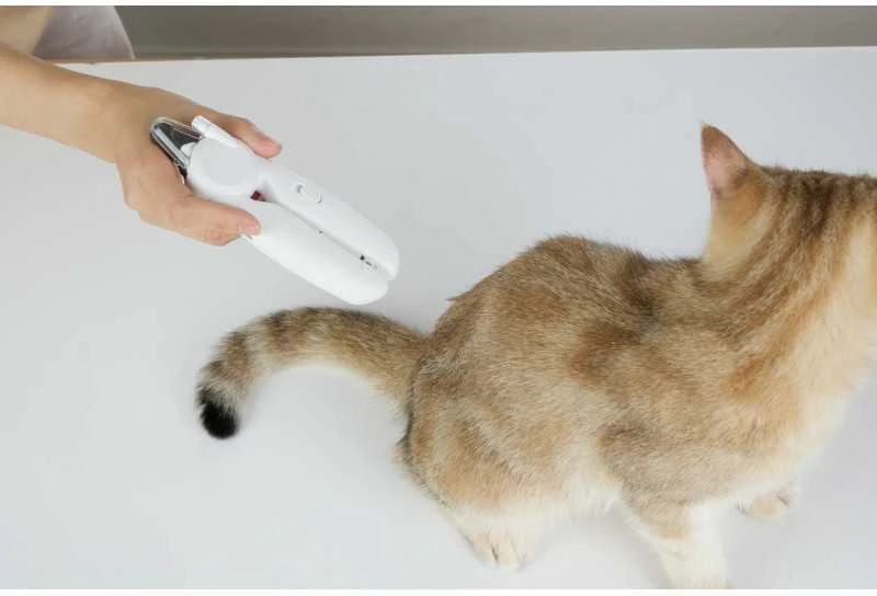 PETKIT | LED nagų kirpimo mašinėlė PRO | Baltas