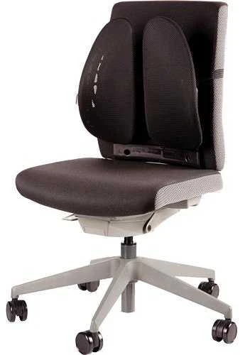 Fellowes nugaros angelas