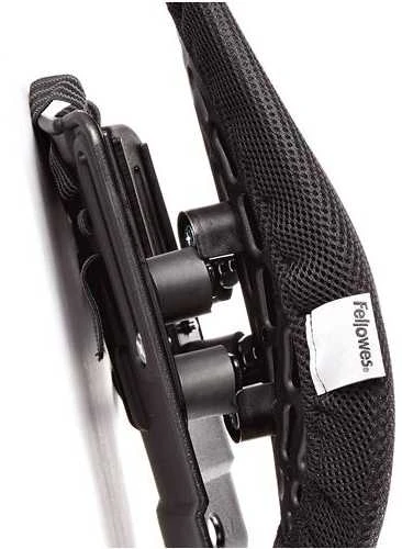Fellowes nugaros angelas