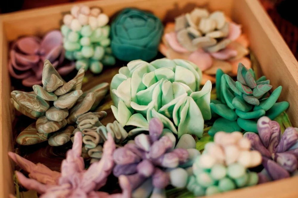 Plastilinas Okto SUCCULENTS TENDERNESS ETC10010