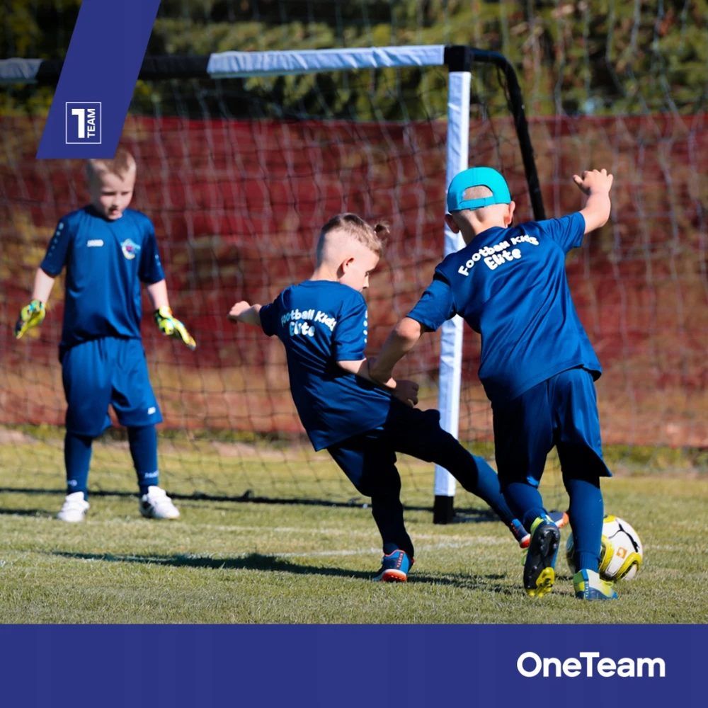 OneTeam futbolo vartai - 300 x 200 x 90 cm