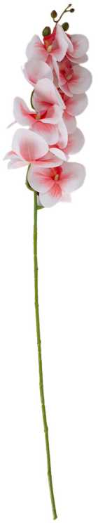 Home4You Orchidėja GĖLĖ H94cm, šviesiai rožinė
