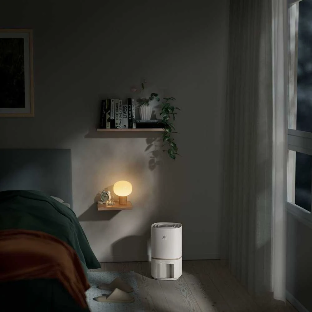 Oro valytuvas Electrolux EPO50351SW