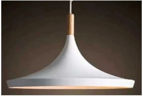 Bona Electrica Pakabinamas šviestuvas Indoor-105 light
