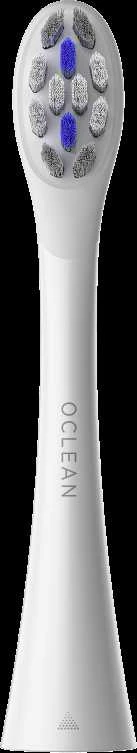 Oclean Professional Clean šepetėlio galvutė P1C13 P02 2vnt Violetinė