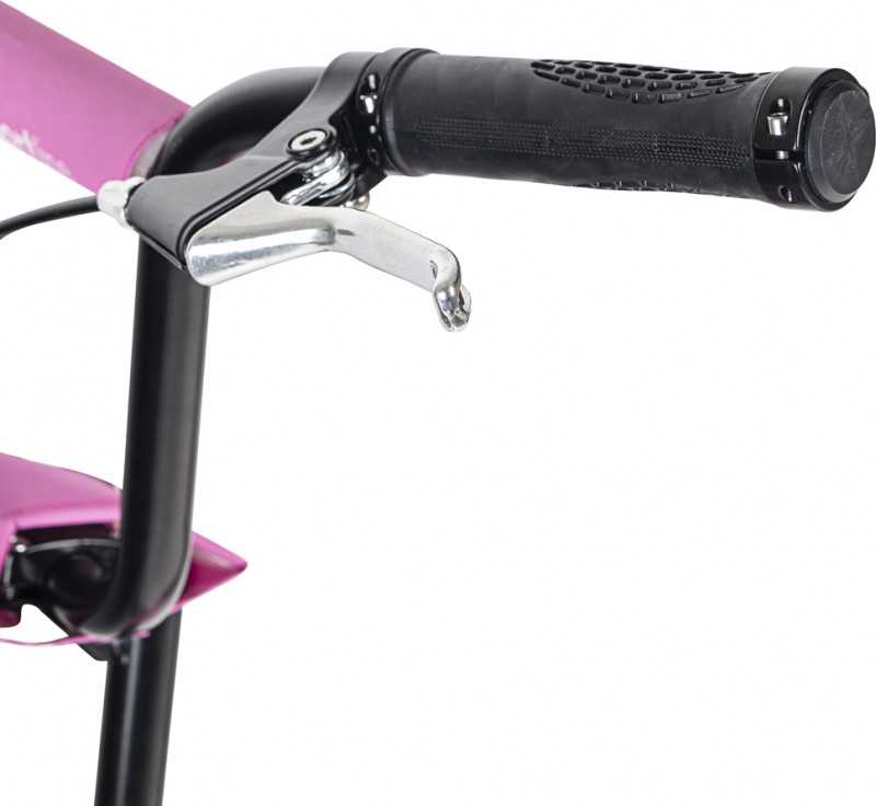 Kick Scooter inSPORTline Milester