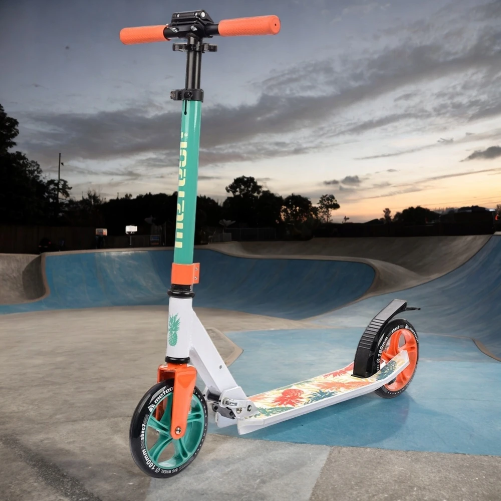 Meteor Motorolerio atostogos