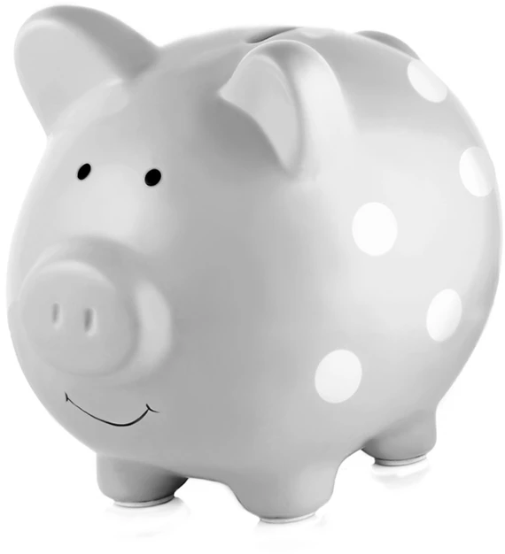 Pearhead Piggy Bank vaikams Pilka