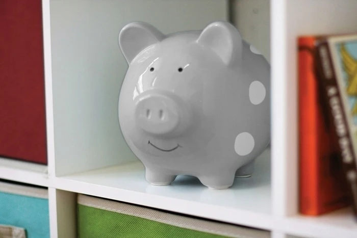 Pearhead Piggy Bank vaikams Pilka