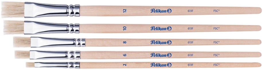 Pelikan Teptukų rinkinys 5vnt (šeriai) bls