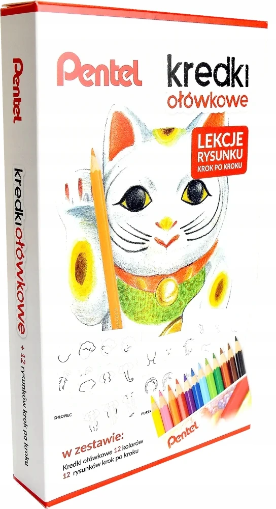 Pentel pieštukų rinkinys su piešimo pamokėlėmis