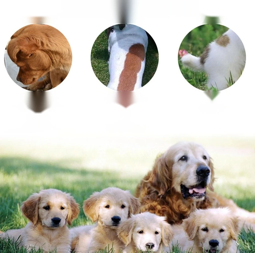 PET ŠUKOS 2 VIENŲ RAUDONŲ MĖLYNŲ BLUSŲ ŠUKAVIMAS