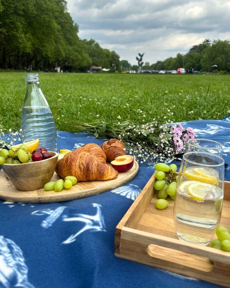 Pikniko antklodė su izoliacija 200x200 cm didelis paplūdimio kilimėlis vandeniui atsparus ZAGATTO