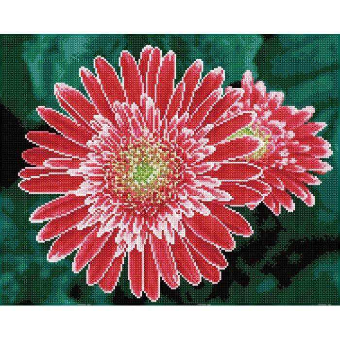 Diamond Dotz Rožinė Deimantinė mozaika Rožinis GERBERAS 40x50 cm