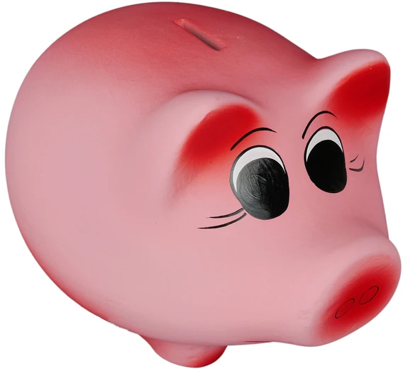 Pink DEKORATYVINĖ KERAMINĖ PIGGY BOX XL Rožinis 16x23 Lenkijos gamybos