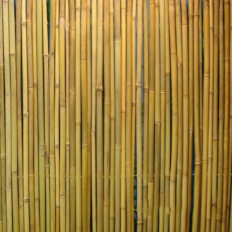 Home4You Pinta bambuko tvora IN GARDEN, 1x3m