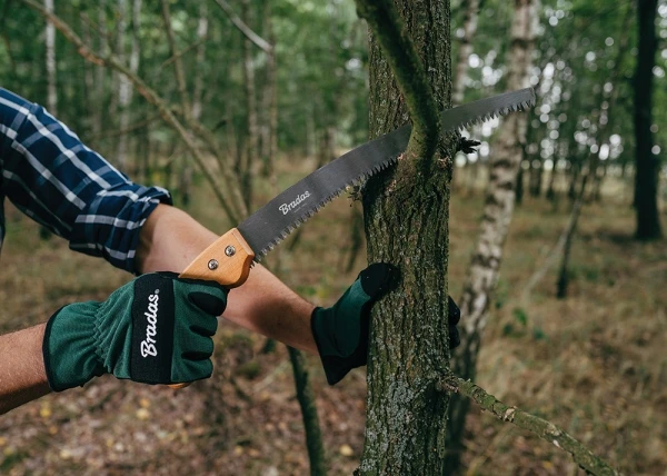 Bradas Pjūklas su medine rankena, 310 mm, šakoms pjauti KT-V1401