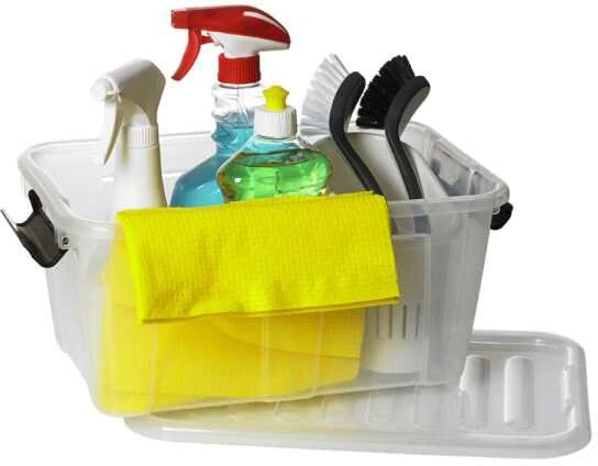 Plast Team Dėžė Home Box, su dangčiu, PPR/PPC, 8 l, 34,5 x 22,5 cm, H 15,8 cm, vnt