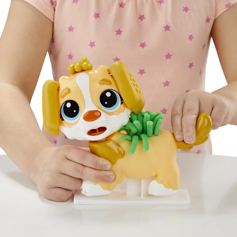 Play-Doh žaidimų tešlos rinkinys Apsilankymas pas veterinarą Hasbro F3639