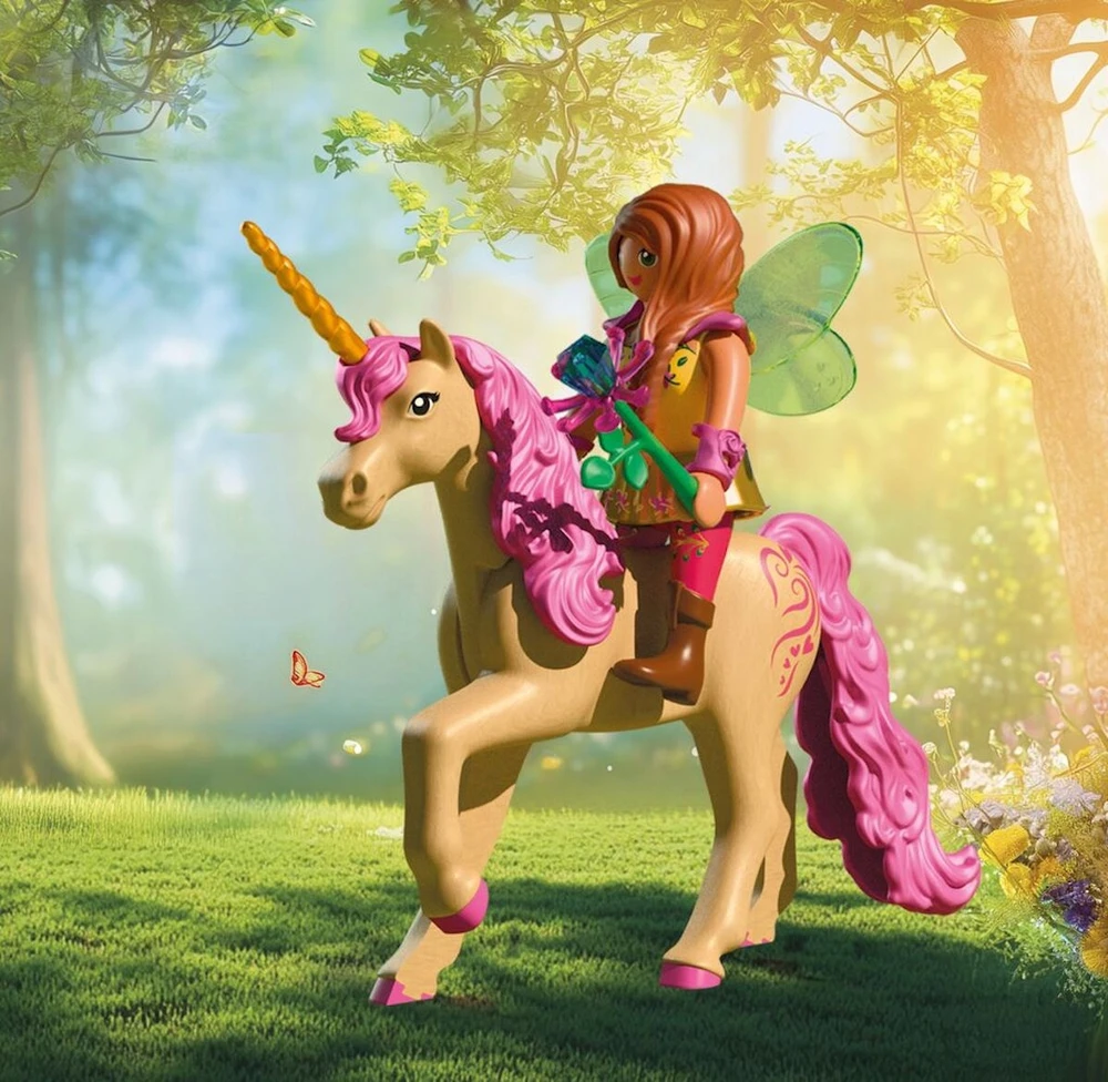 Konstruktorius Playmobil Fairies' Day Trip (72067)